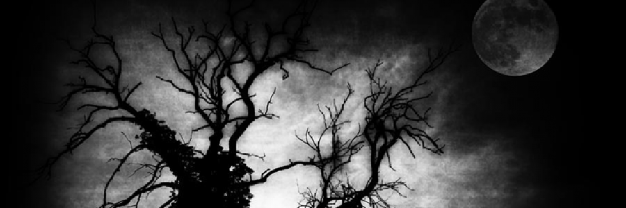 Cover image for post Saddest Dream, by BluiMafia