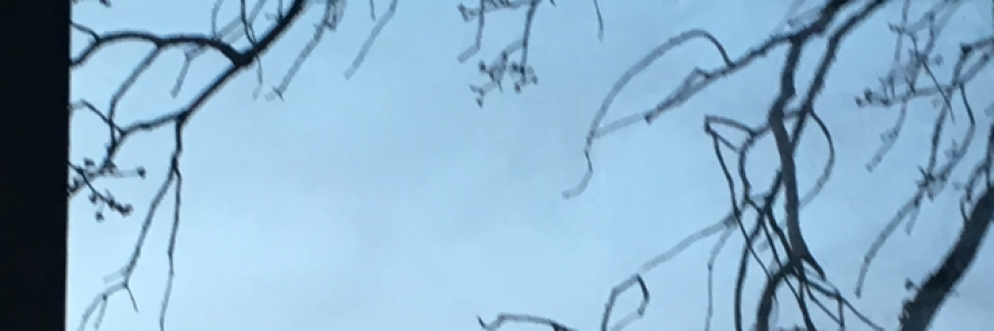 Cover image for post Untitled, by paperadventure