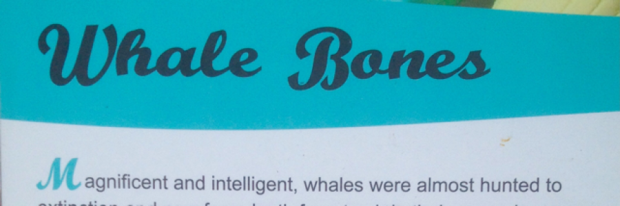 Cover image for post 3L2T, by Brewce11