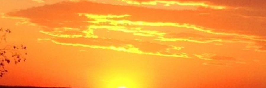 Cover image for post Dawn, by Brewce11