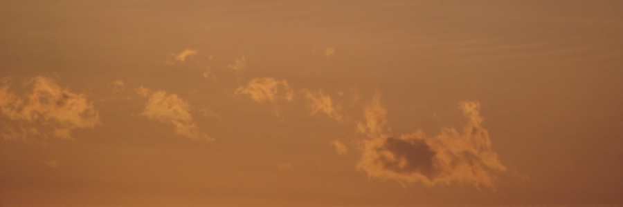 Cover image for post Reality., by mis_amethyst