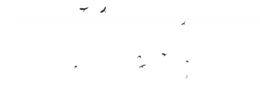 Cover image for post love is blinding, by mis_amethyst