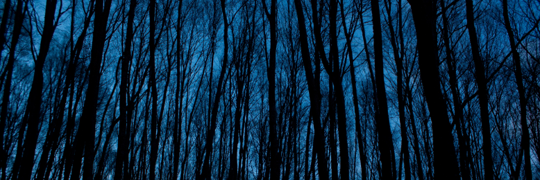 Cover image for post The Final Shoot, by MsHannahTweets