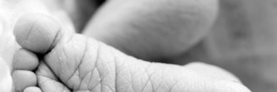 Cover image for post In with the New, by AmandaCary