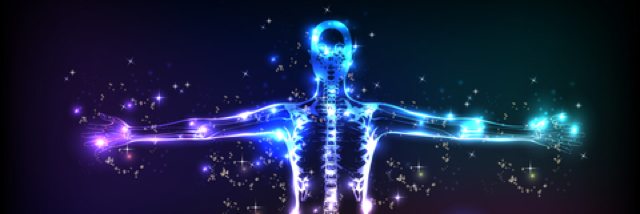 Cover image for post The Healer, by WS