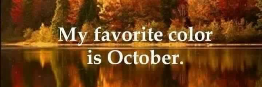 Cover image for post Lost in New Jersey, by Brewce11