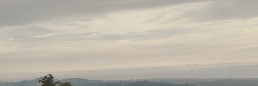 Cover image for post Feel My Pain, by poetryprincess