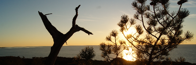 Cover image for post Eye Love, by BetweenEpiphani