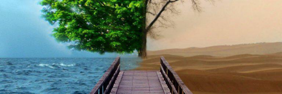 Cover image for post Logic in Peril, by Kingrules