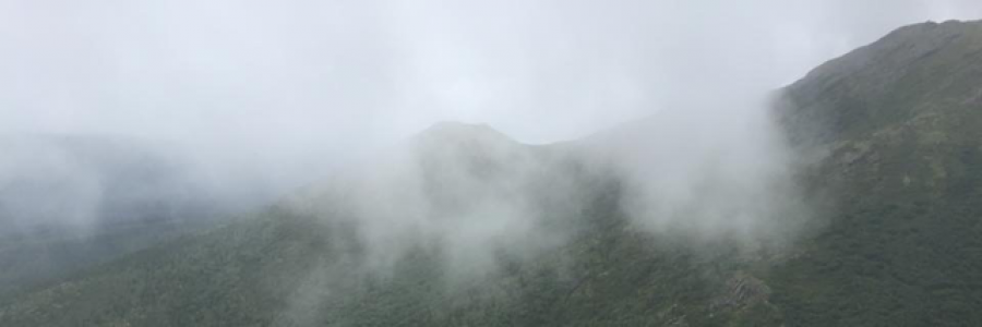 Cover image for post The Space Between, by Akite