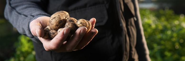 Cover image for post Baked Potato, by JohnCoates