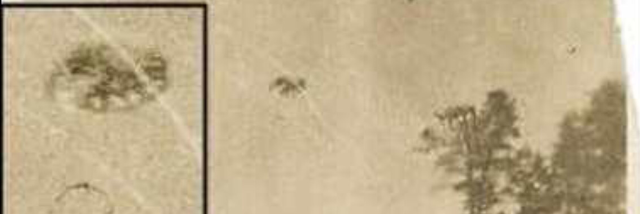 Cover image for post The Flyin' Ting!, by Yowwa