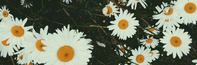 Cover image for post something to think about., by seasides