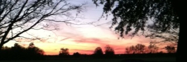 Cover image for post "what do you eat?", by seasides