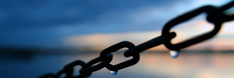 Cover image for post Ideological Food Chain, by A