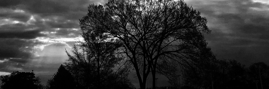 Cover image for post Eclipsed Demise, by ALifeWitArt