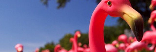 Cover image for post The Flocking, by InvisibleInk