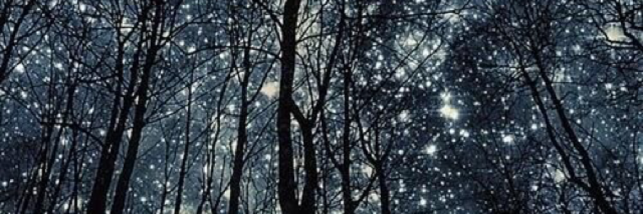 Cover image for post That I do, by Manymountains