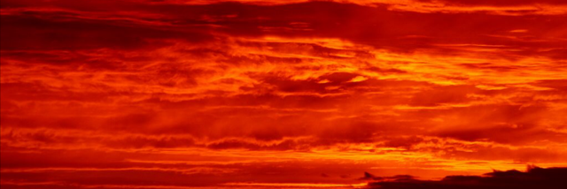 Cover image for post Hot blood orange., by JeffStewart