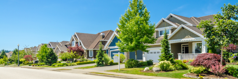 Cover image for post Visiting, by poetgreen