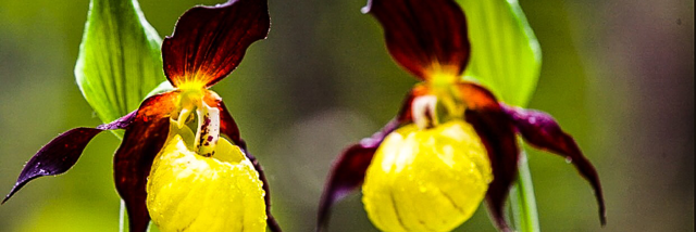 Cover image for post Defining Moment, by Yowwa