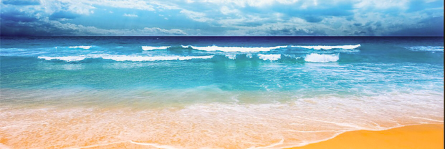 Cover image for post The Sea Of Life, by Yowwa