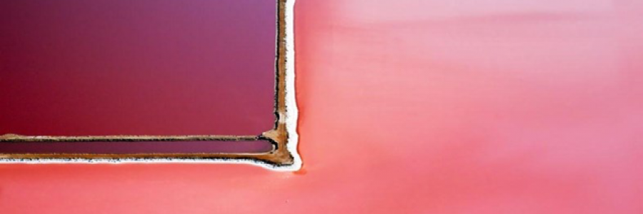 Cover image for post Such a Pig, by AmandaCary