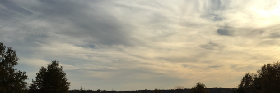 Cover image for post Education of Infallible Dreams, by just_leigha