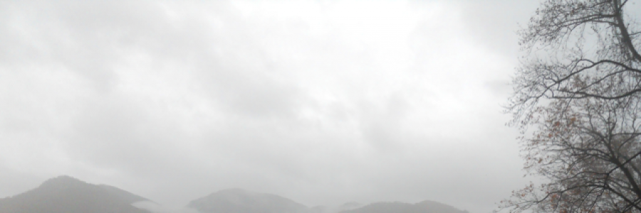 Cover image for post Duck Face, by MilesNowhere