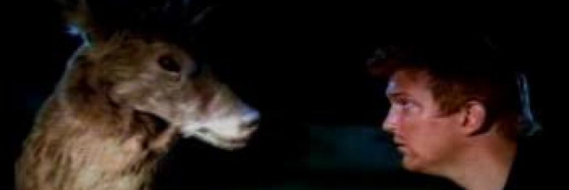 Cover image for post Everybody knows that you're insane, by Schrieben_Wulf