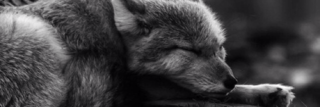 Cover image for post I should be sleeping but here I am awake and foolish, by unspecific