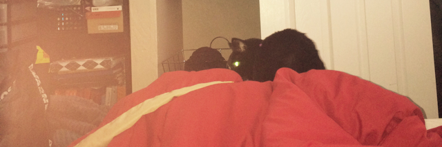 Cover image for post Always, in a good way, by Schrieben_Wulf