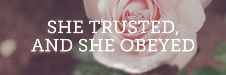 Cover image for post Trust and Obey, by Vyxyn