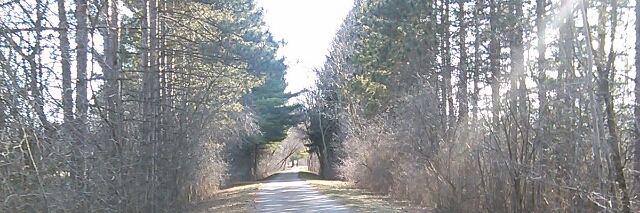 Cover image for post Summer Home, by DevMichelle