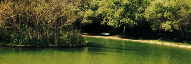 Cover image for post Living Liquid, by Beth