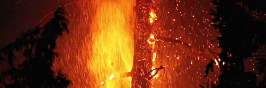 Cover image for post Antichrist, by 17