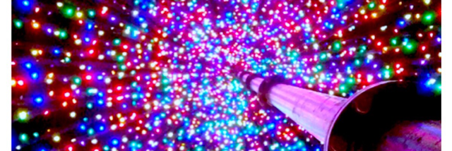 Cover image for post Sal, by tarajohnson1656