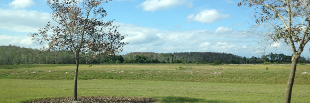 Cover image for post Earth, by chimera