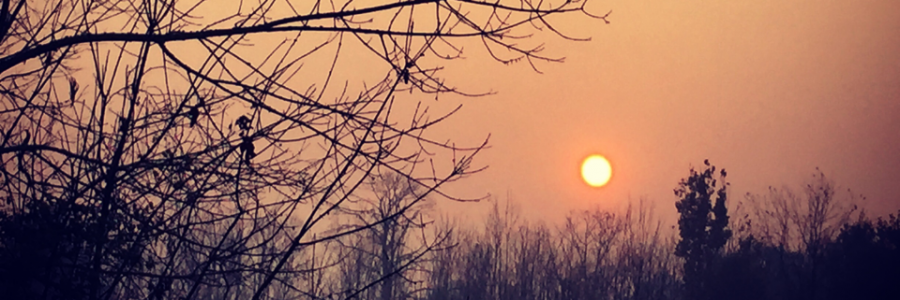 Cover image for post Wildfires: East Tennessee, by AshleyA