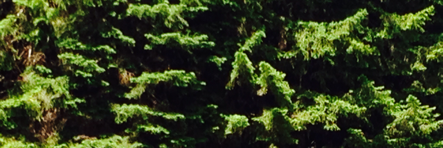 Cover image for post Earth, by StellarBee