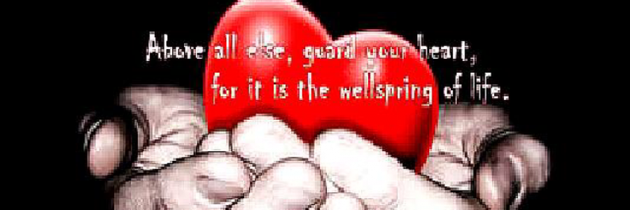 Cover image for post protect your heart, by YAngeL