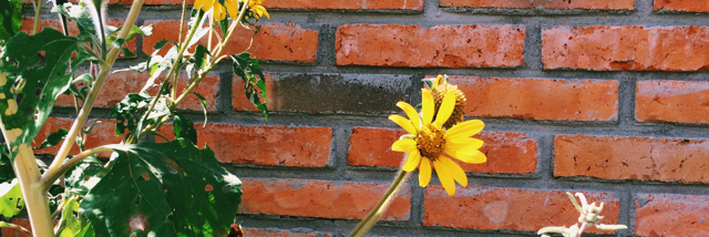 Cover image for post Invisible but important nonetheless, by Karlacaldera