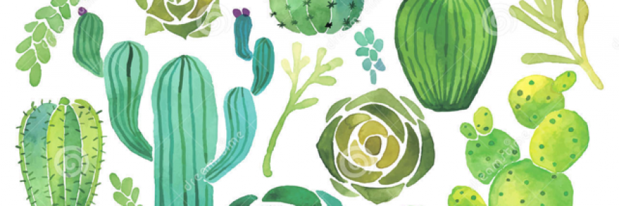 Cover image for post Succulents and cactuses, by Rusalka