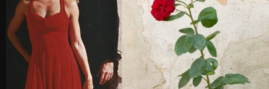 Cover image for post You can't paint the Mona Lisa Twice, by Mamba