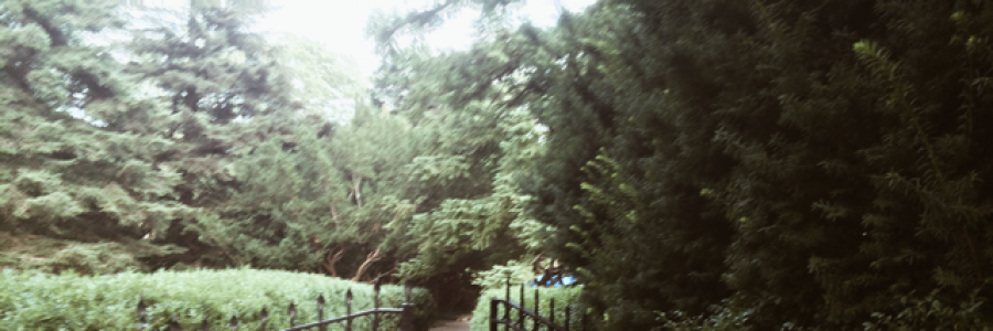 Cover image for post Rain., by SarahW