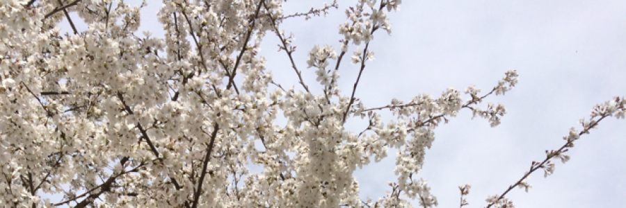 Cover image for post A Bedtime Story for Aisling, by SarahW