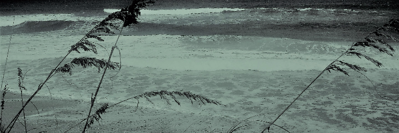 Cover image for post SINISTER DISCONNECTION, by sandflea68