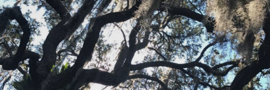 Cover image for post Untitled, by Krystal_Stones