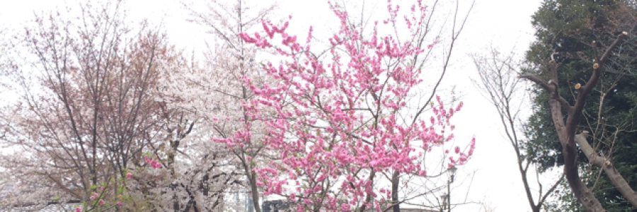 Cover image for post just fine, by david_speer