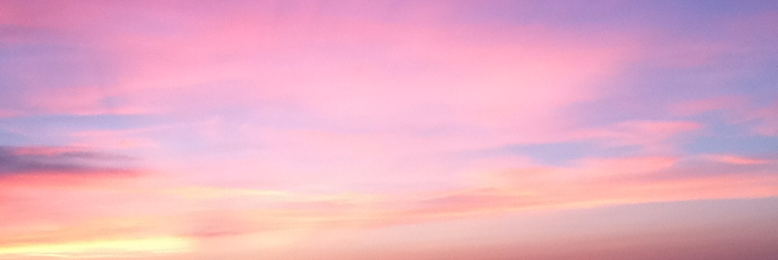 Cover image for post The Poe-lite Birdie, by Johnnydarwin